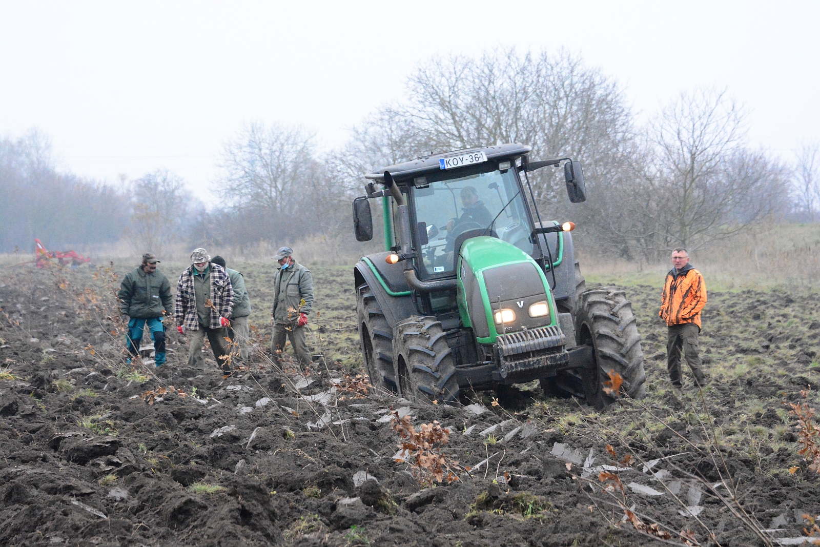 Új erdősávok a városban - 27.500 csemetét ültetnek a napokban